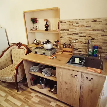 Central Apartment 